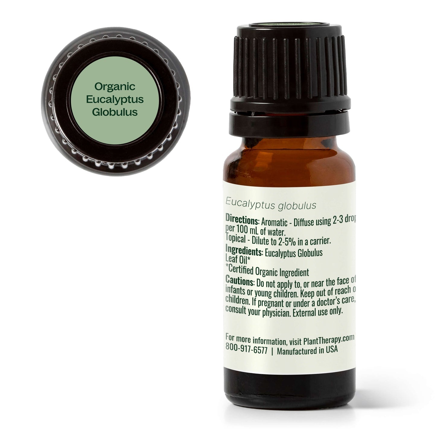 Eucalyptus Globulus ORGANIC Essential Oil