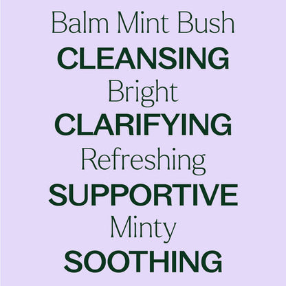 Balm Mint Bush