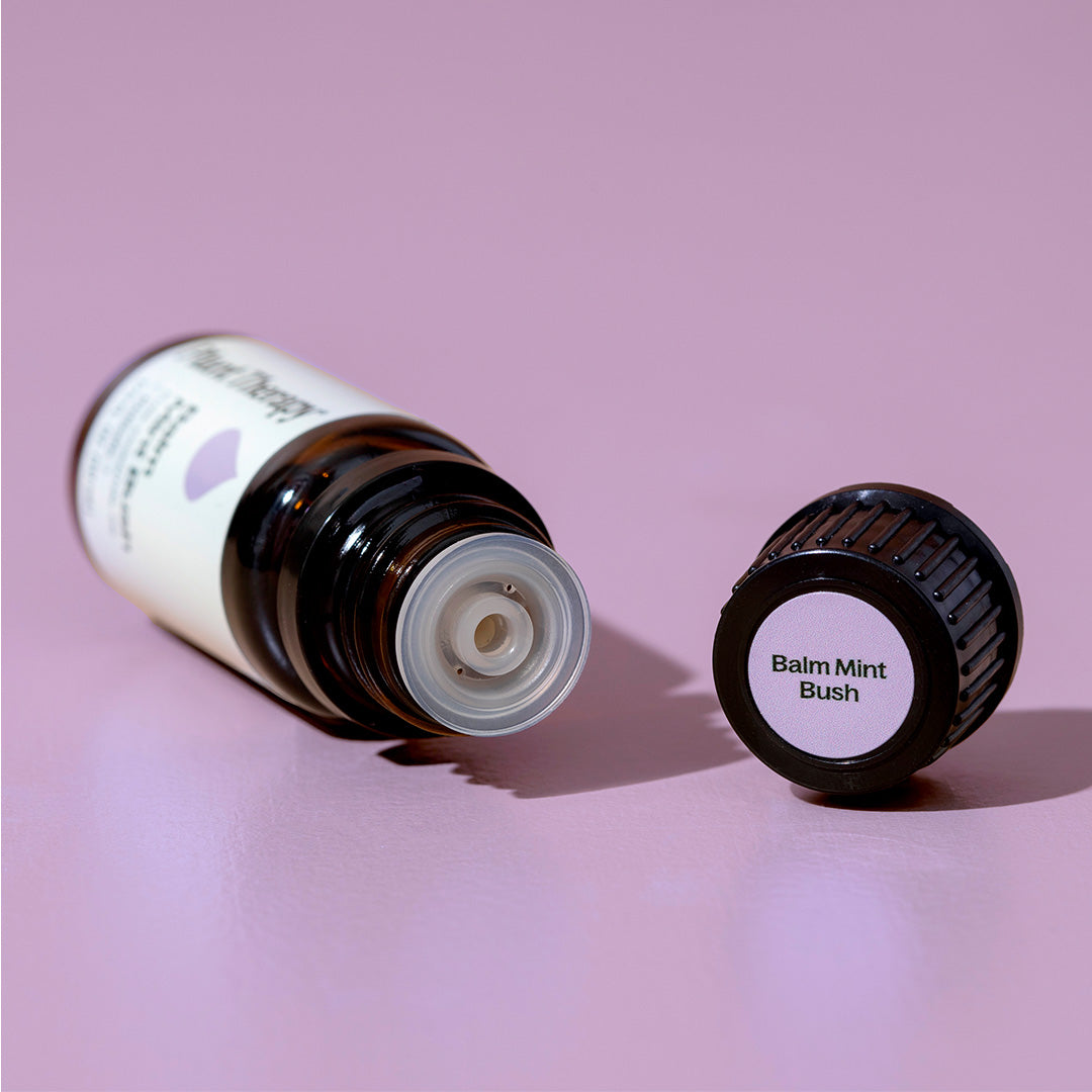 Balm Mint Bush