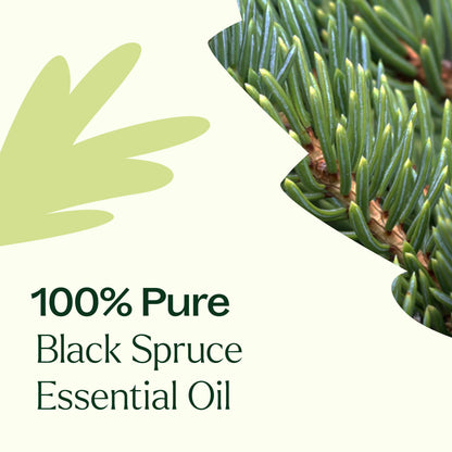 Spruce Black Essential Oil