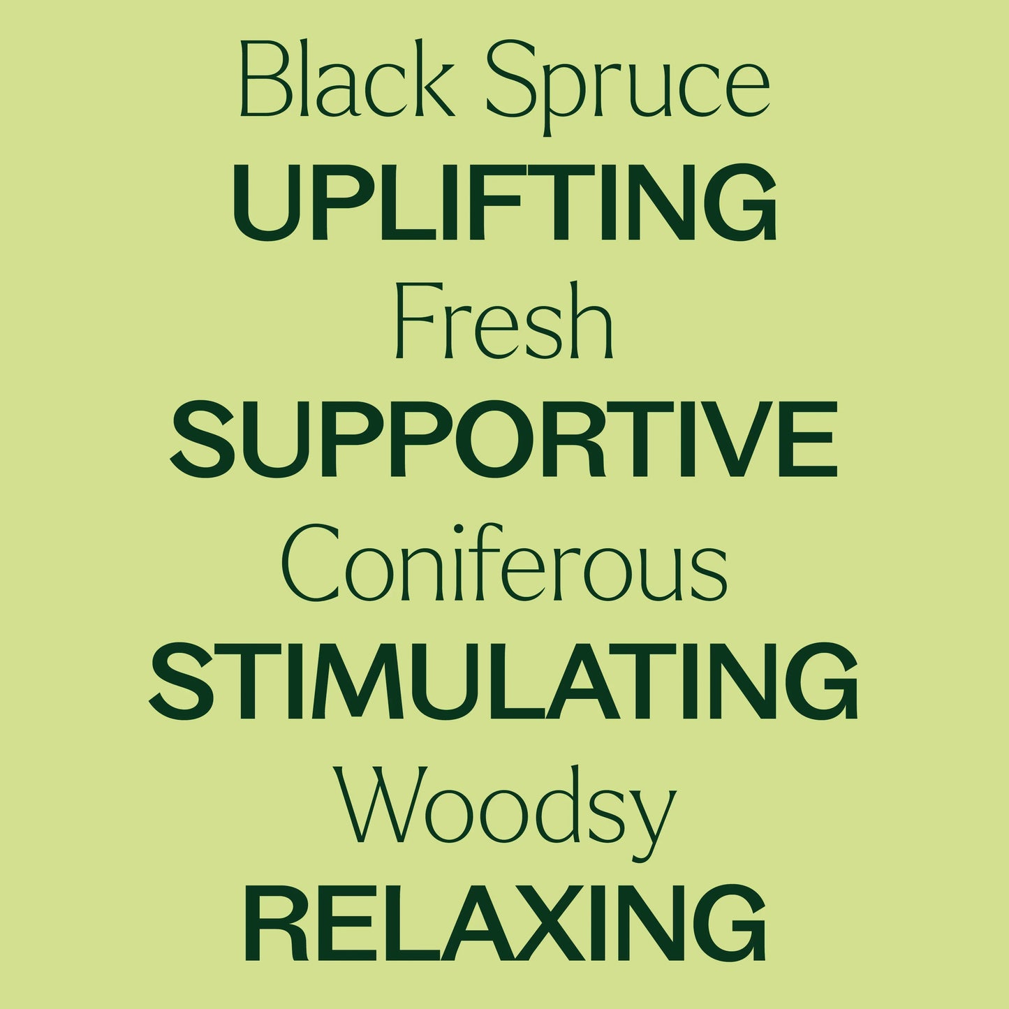 Spruce Black Essential Oil