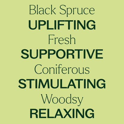 Spruce Black Essential Oil