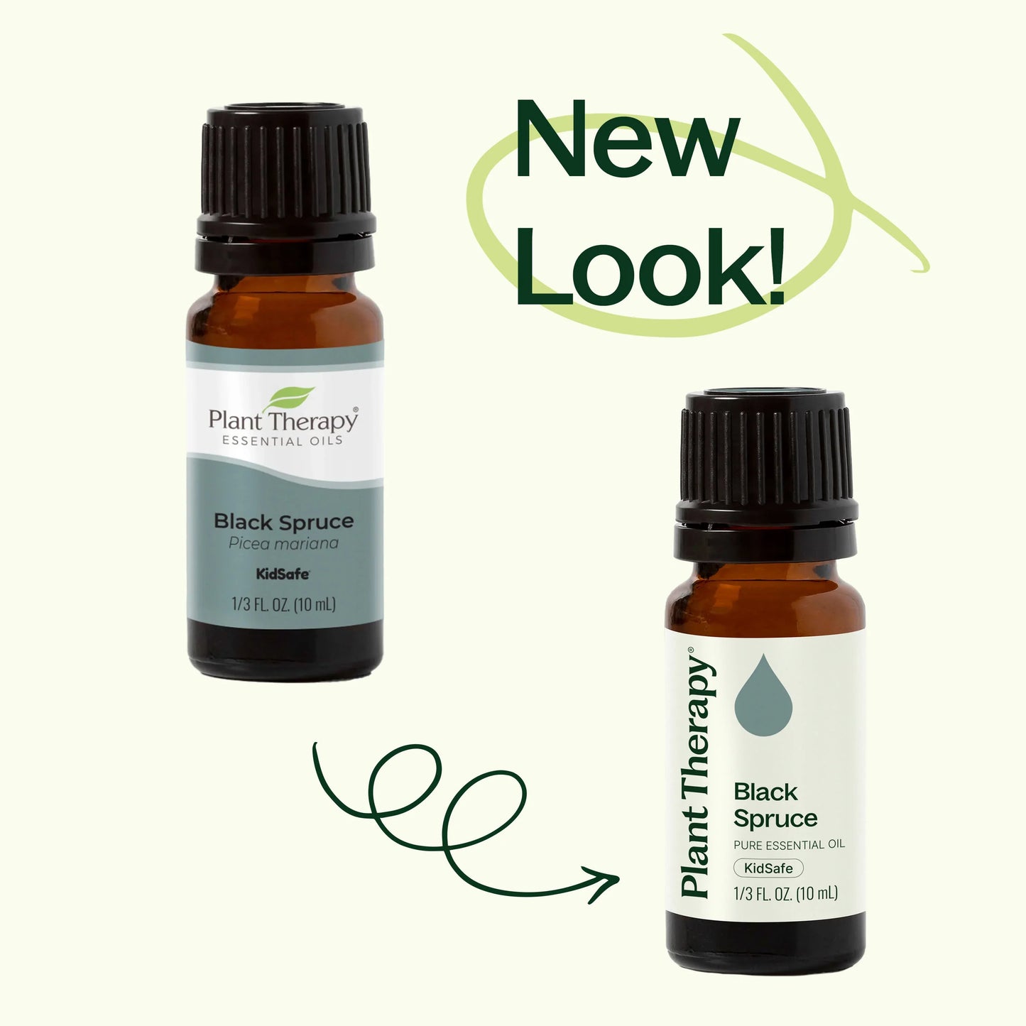 Spruce Black Essential Oil