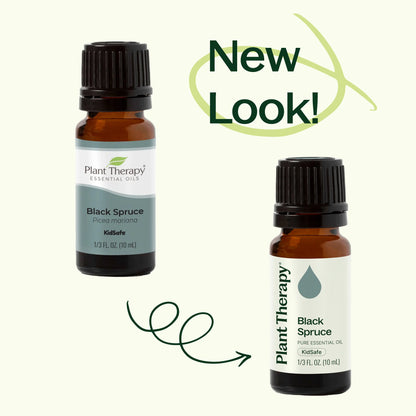 Spruce Black Essential Oil