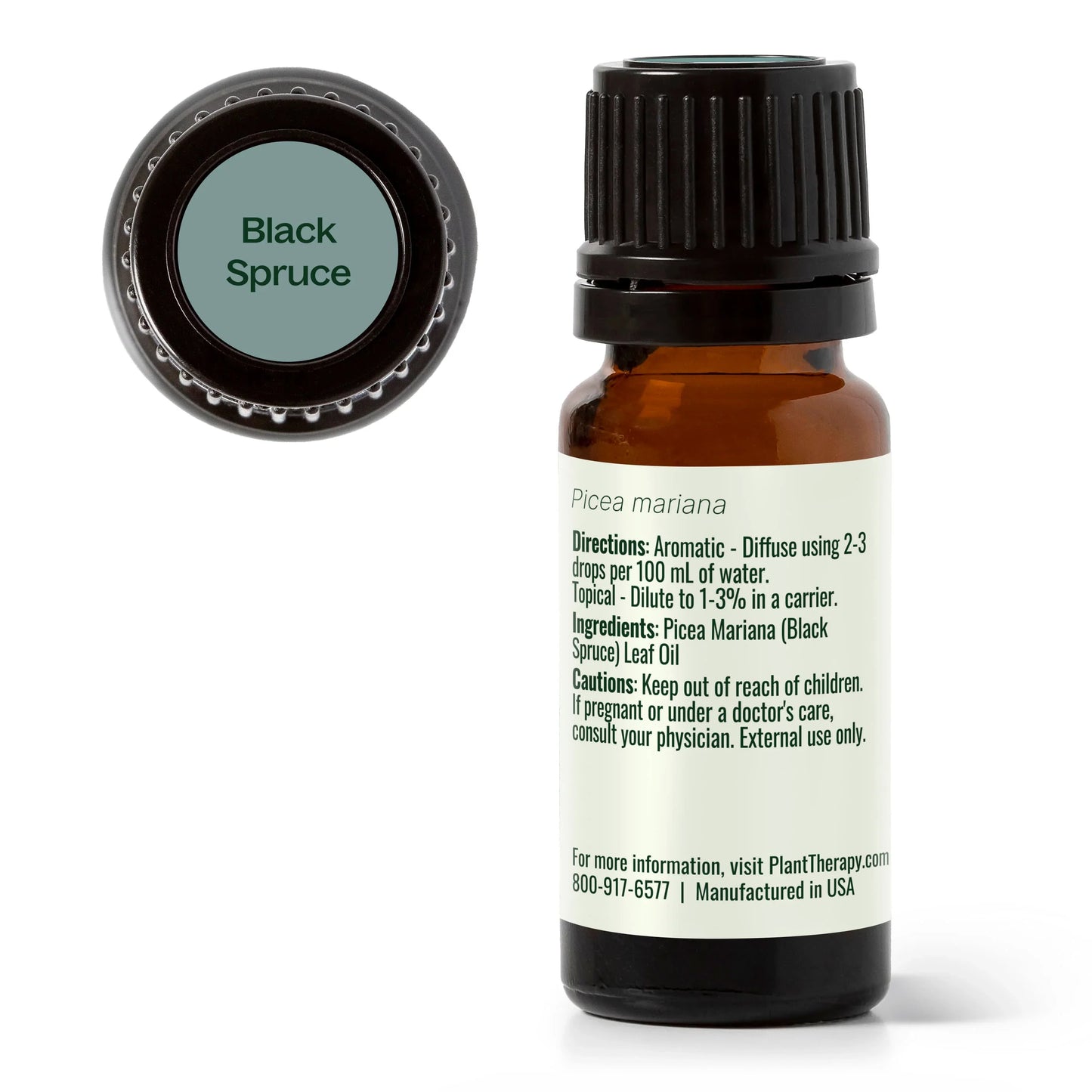 Spruce Black Essential Oil