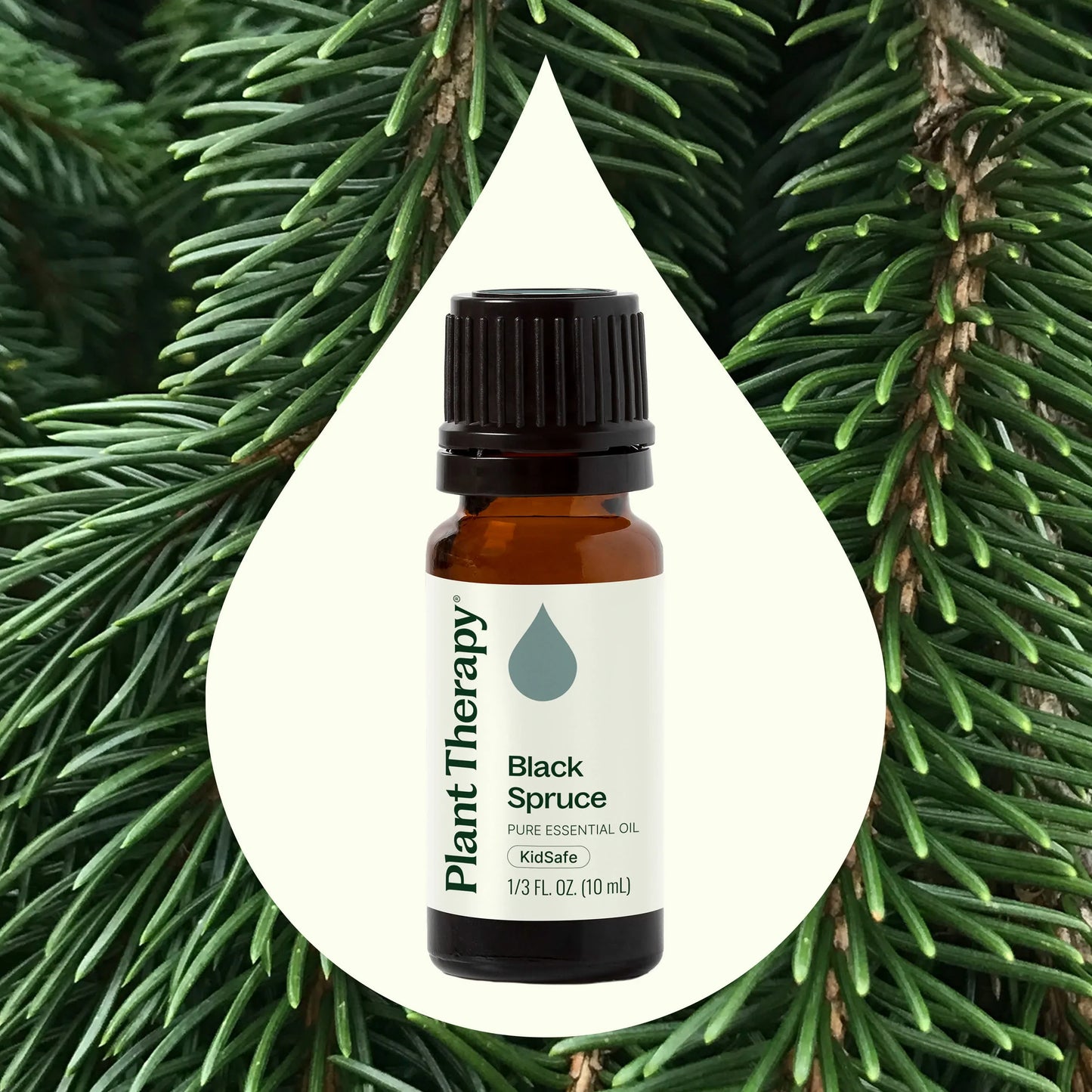 Spruce Black Essential Oil