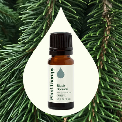 Spruce Black Essential Oil