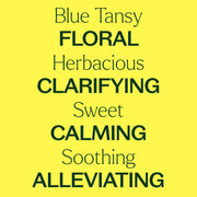 Blue Tansy Essential Oil 5ml