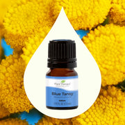 Blue Tansy Essential Oil 5ml