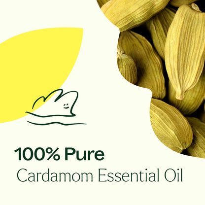 Cardamom Essential Oil