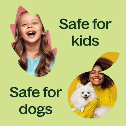 Carrot Seed Essential Oil