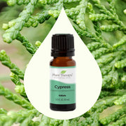 Cypress Essential Oil 10ml