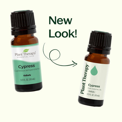 Cypress Essential Oil