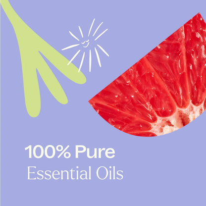 Defender Multi-Surface Cleaner Concentrate 30mL 2-Pack