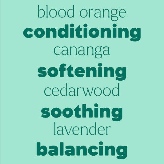 Detangler Frizz-Taming Spray