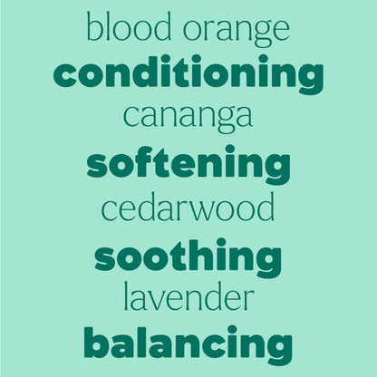 Detangler Frizz-Taming Spray