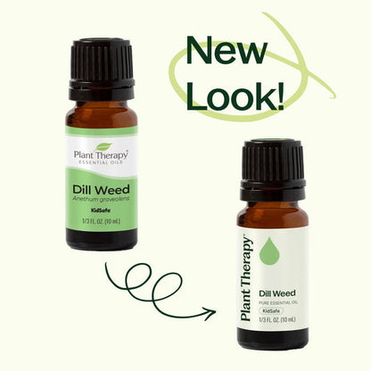 Dill Weed Essential Oil