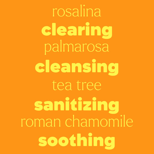 KIDSAFE Ear Relief 10ml Synergy