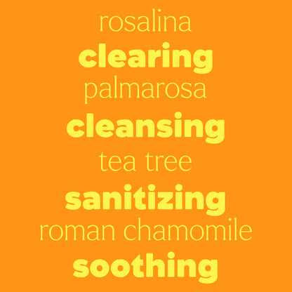 KIDSAFE Ear Relief 10ml Synergy