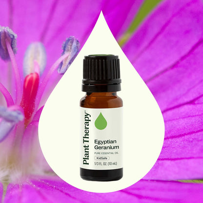 Geranium Egyptian Essential Oil