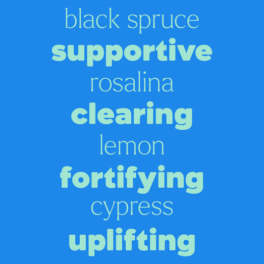 KidSafe Feelin' Good 3 Set - Pre Diluted Rollers