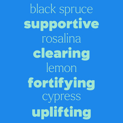 KidSafe Feelin' Good 3 Set - Pre Diluted Rollers