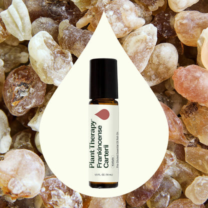 Frankincense Carteri Essential Oil Pre Diluted Roll On