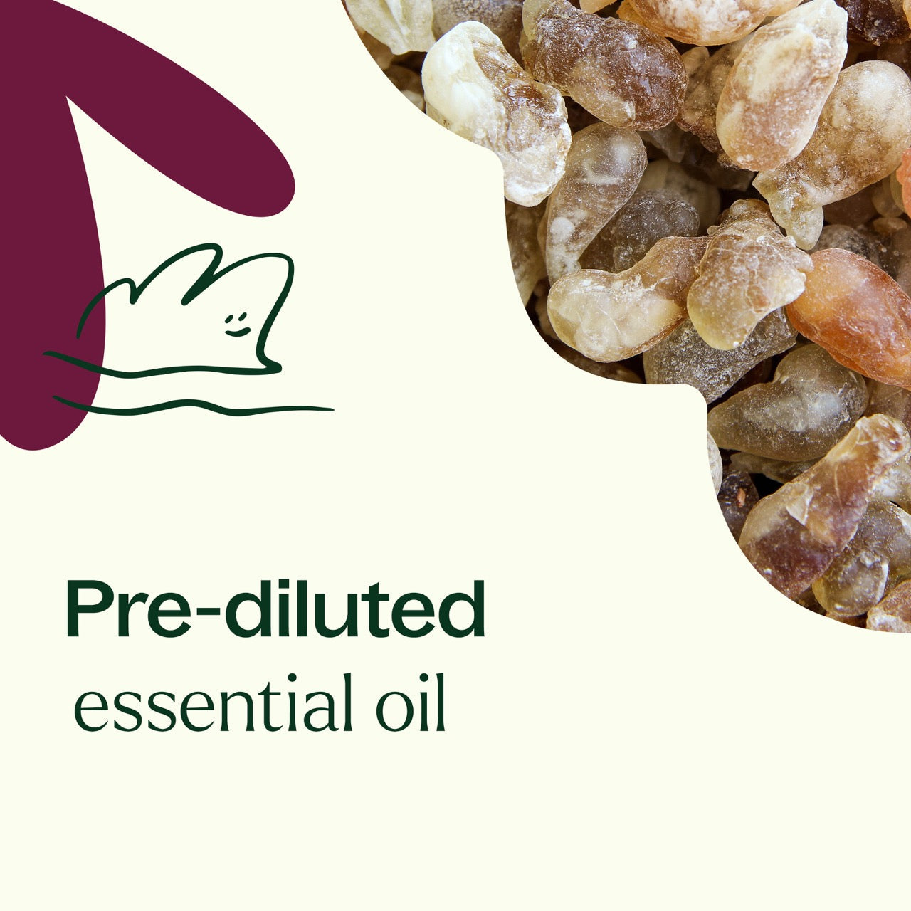 Frankincense Carteri Essential Oil Pre Diluted Roll On