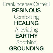 Frankincense Carterii Essential Oil