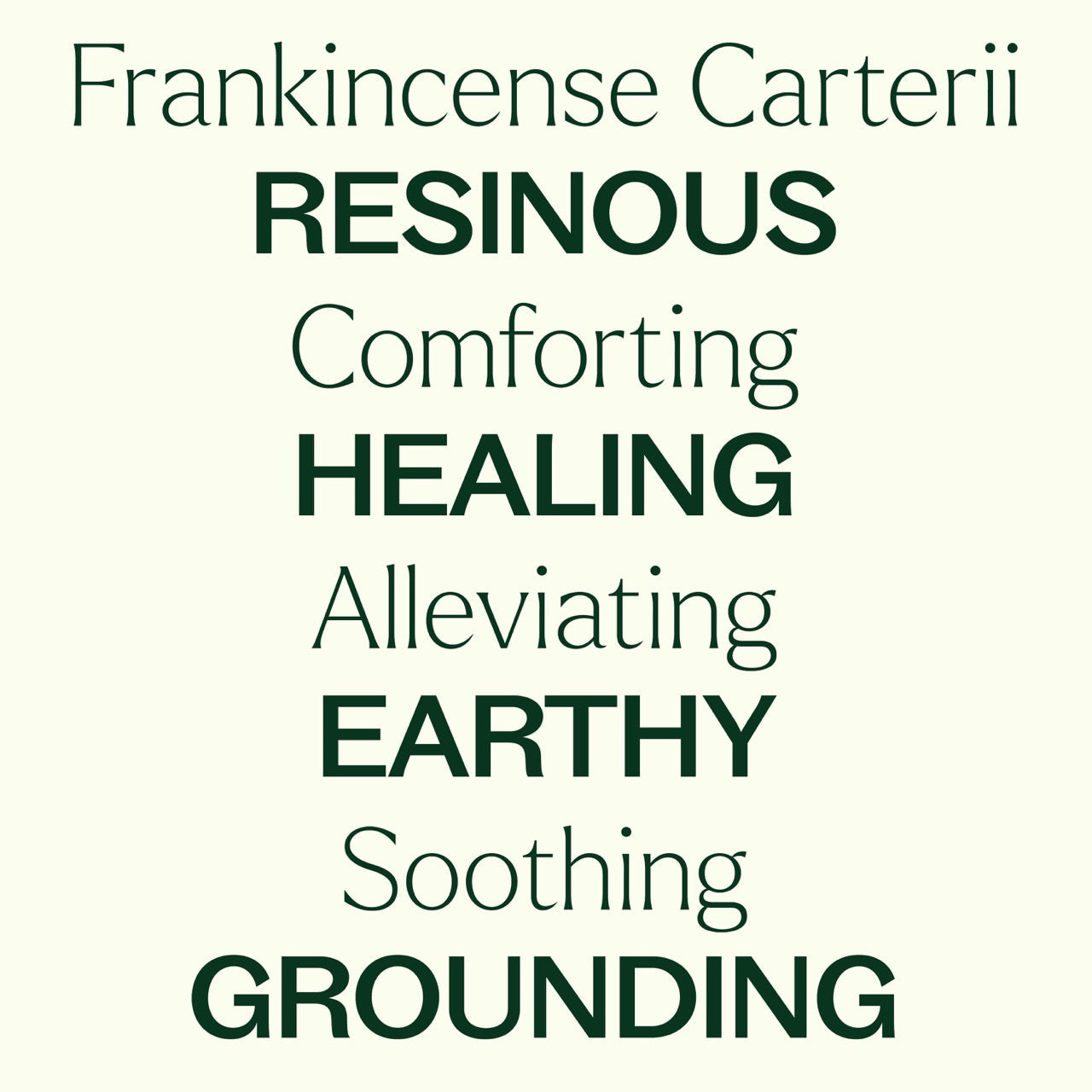 Frankincense Carteri Essential Oil Pre Diluted Roll On