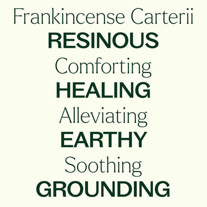 Frankincense Carteri Essential Oil Pre Diluted Roll On