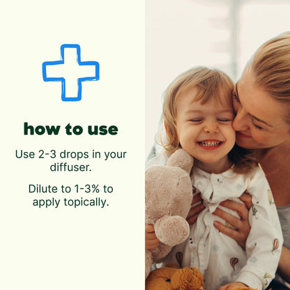 KIDSAFE Germ Destroyer Synergy