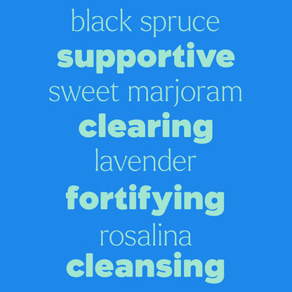 KIDSAFE Germ Destroyer Synergy