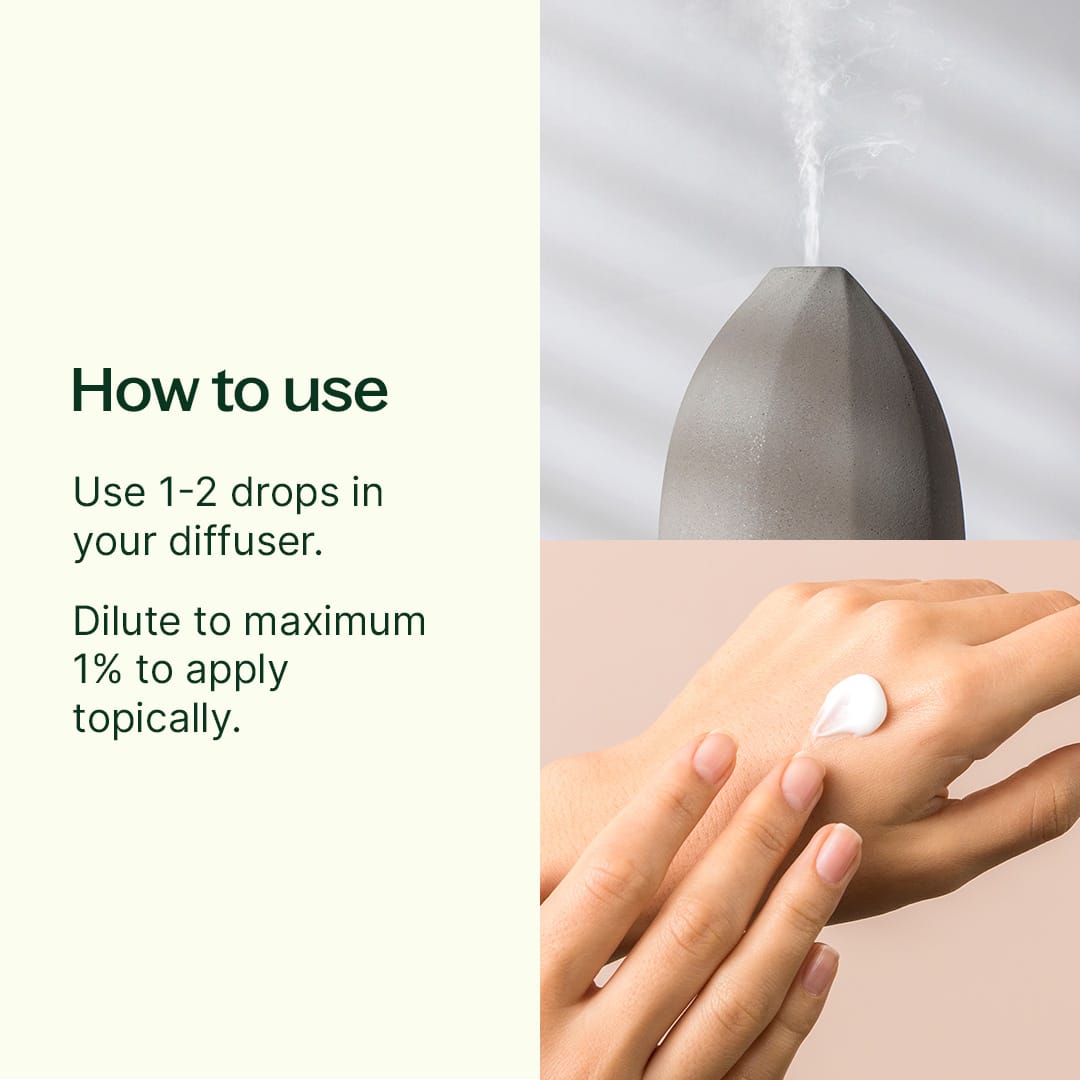 Ginger Root CO2 Essential Oil