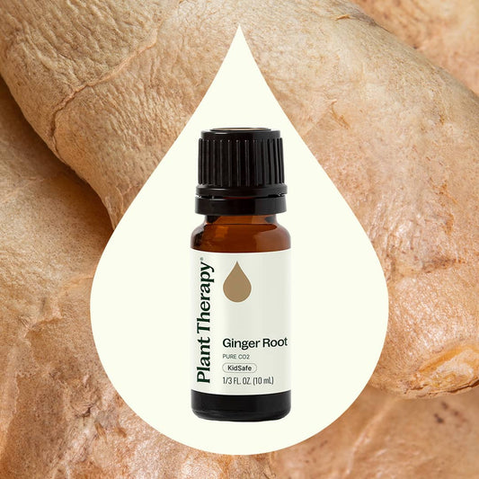 Ginger Root CO2 Essential Oil