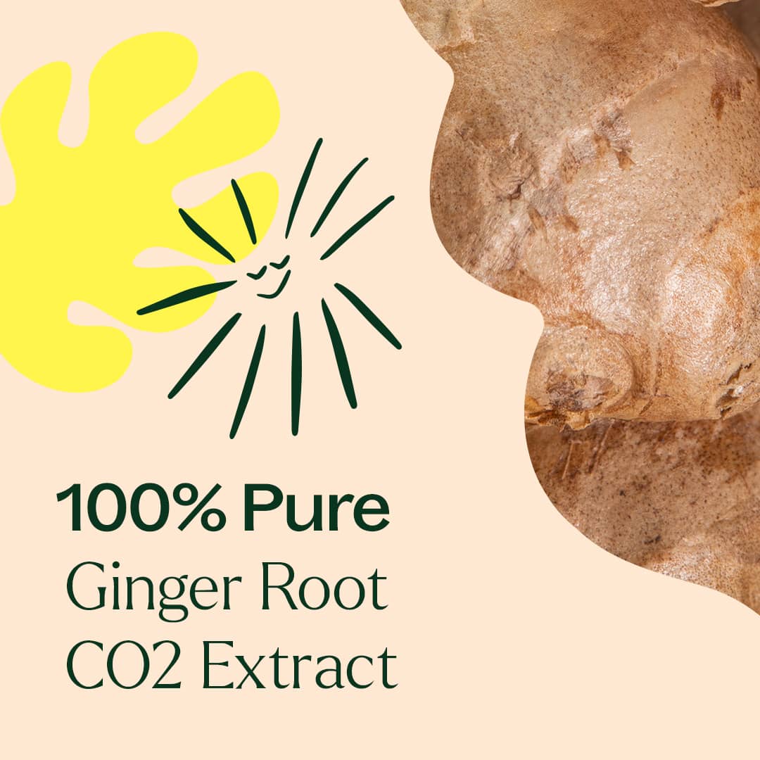 Ginger Root CO2 Essential Oil