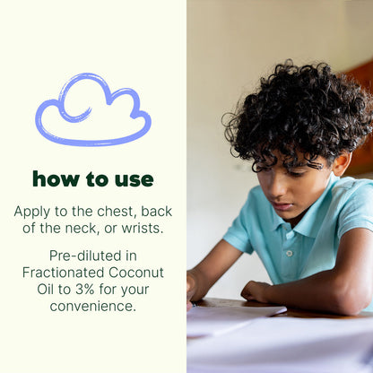 Hocus Focus Pre Diluted Roller