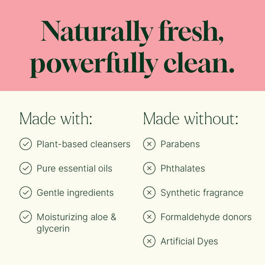 Foaming Hand Soap Duo: Holiday Season + Foaming Bottle