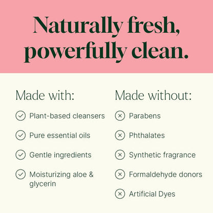 Foaming Hand Soap Duo: Holiday Season + Foaming Bottle