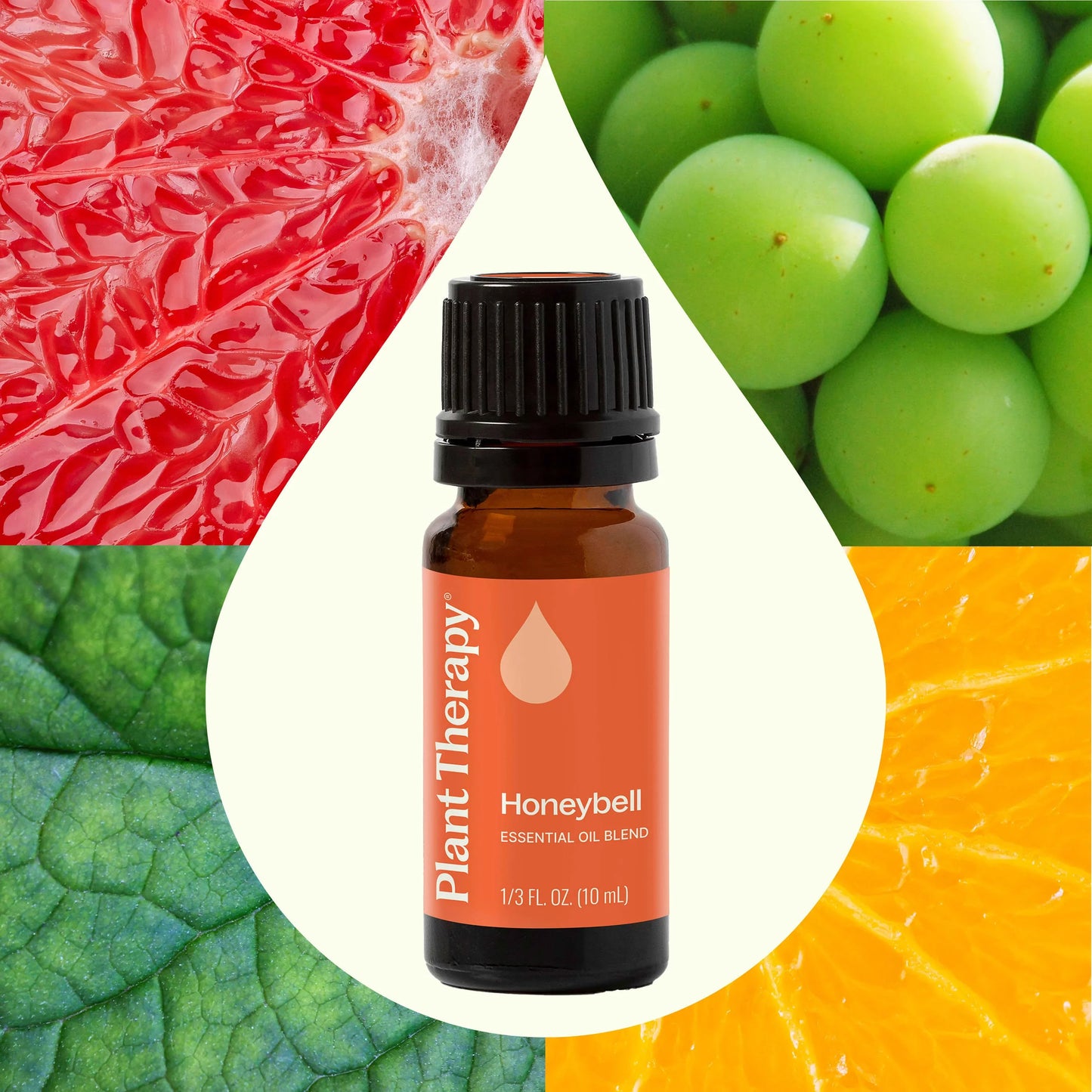 Honeybell Essential Oil Synergy