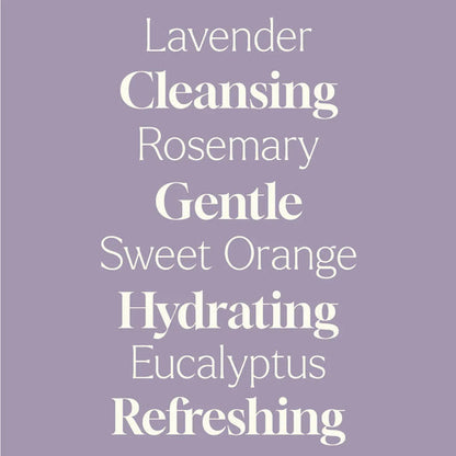 Foaming Hand Soap Duo: Lavender Rosemary + Foaming Bottle