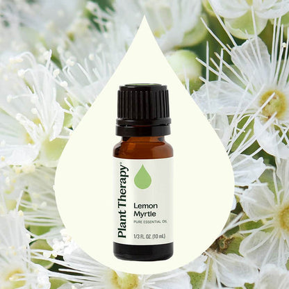 Lemon Myrtle Essential Oil