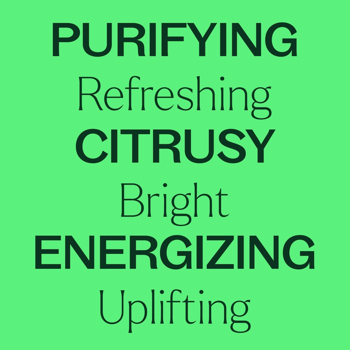 Lime Steam Distilled Essential Oil