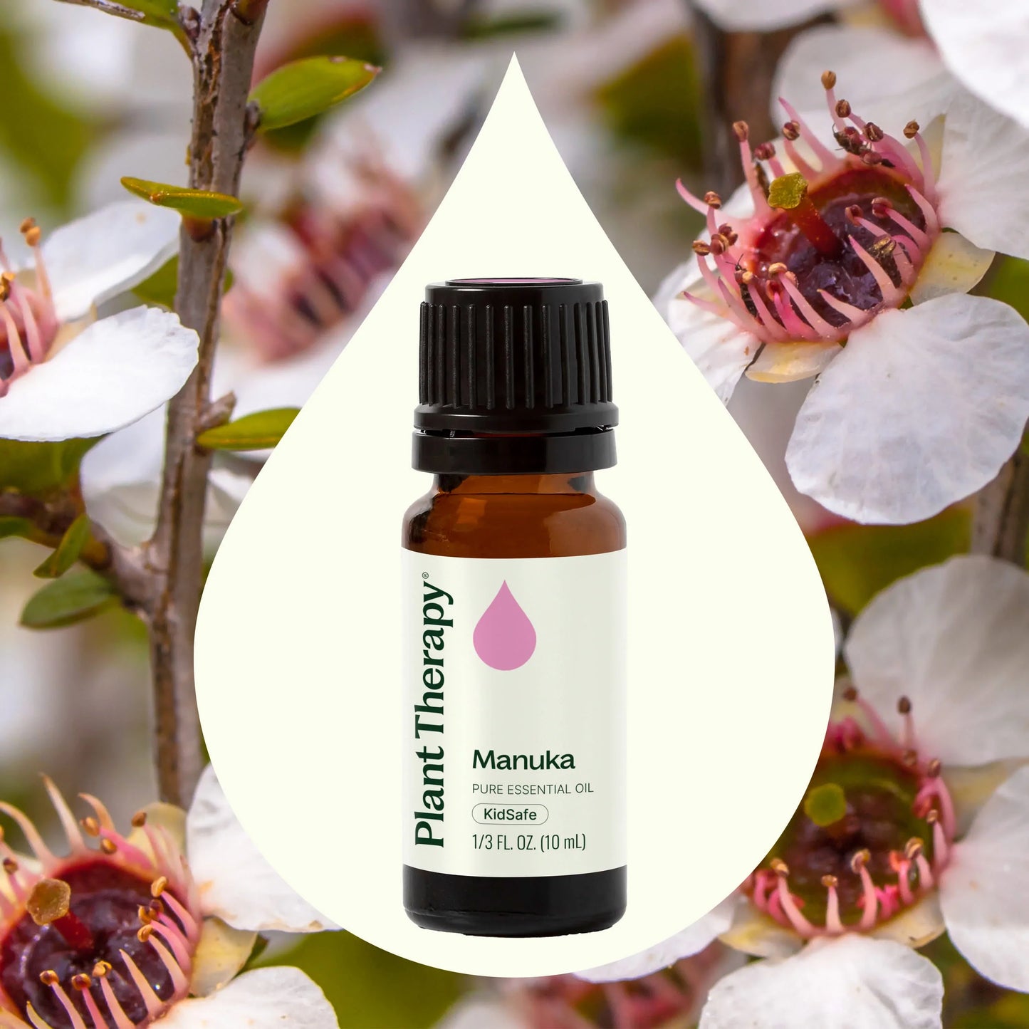 Manuka Essential Oil