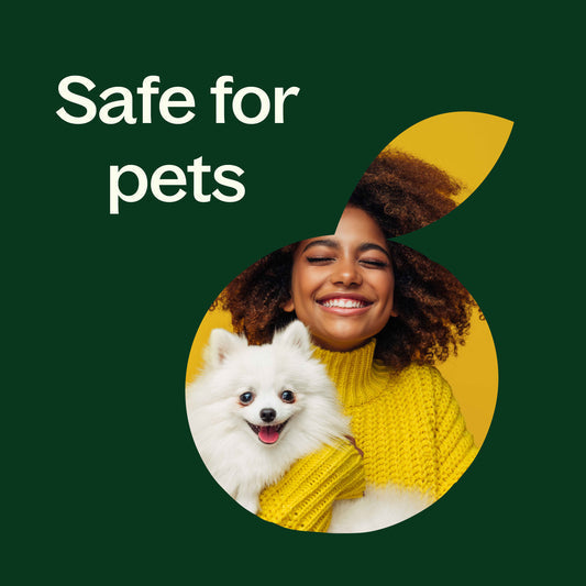 Melissa Essential Oil