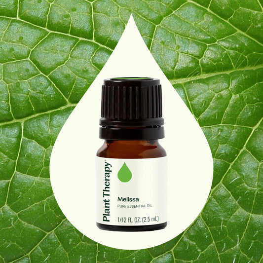 Melissa Essential Oil