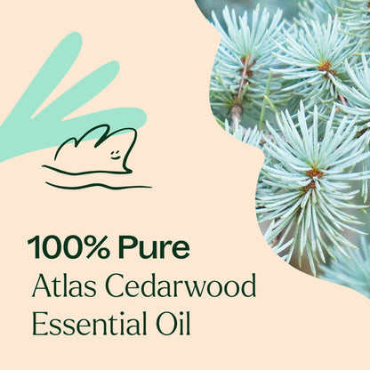 Cedarwood Atlas ORGANIC Essential Oil