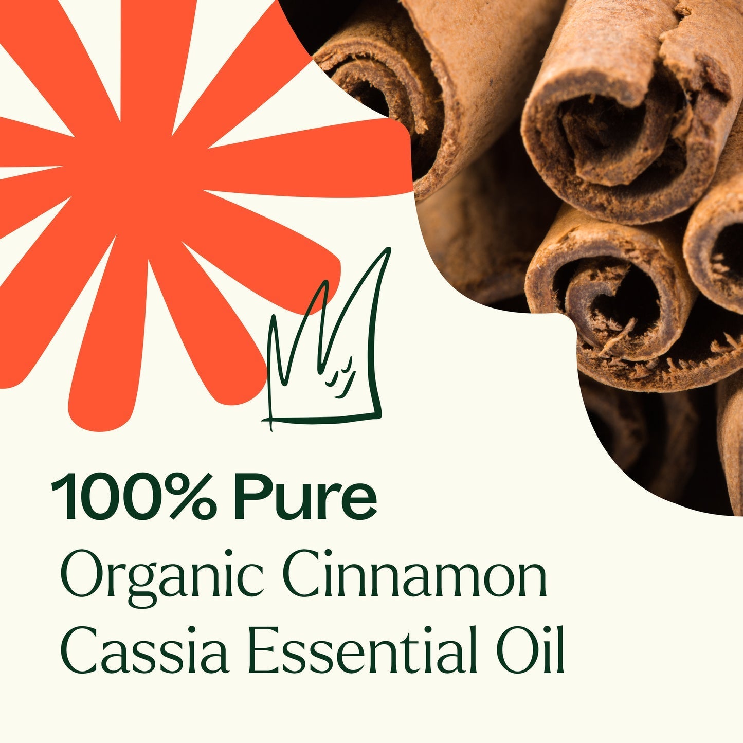 Cinnamon Cassia ORGANIC Essential Oil