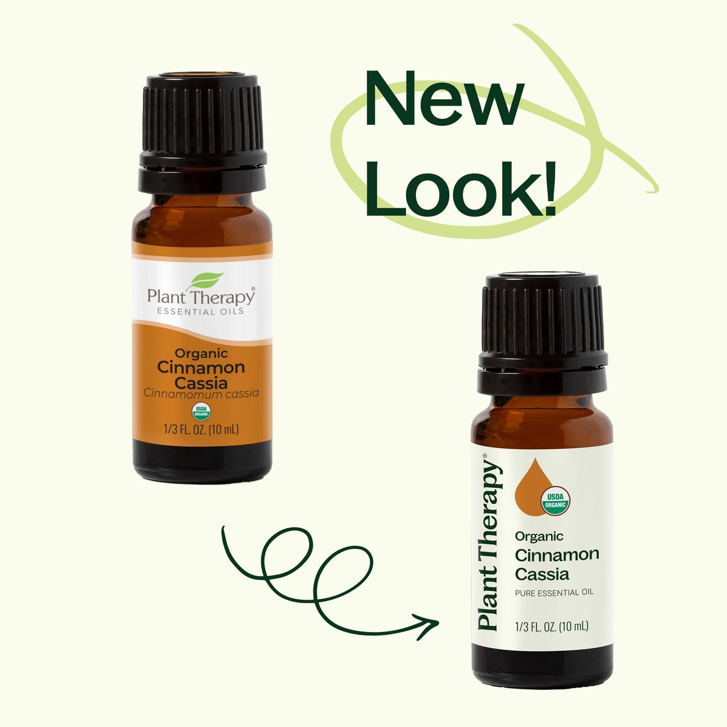 Cinnamon Cassia ORGANIC Essential Oil