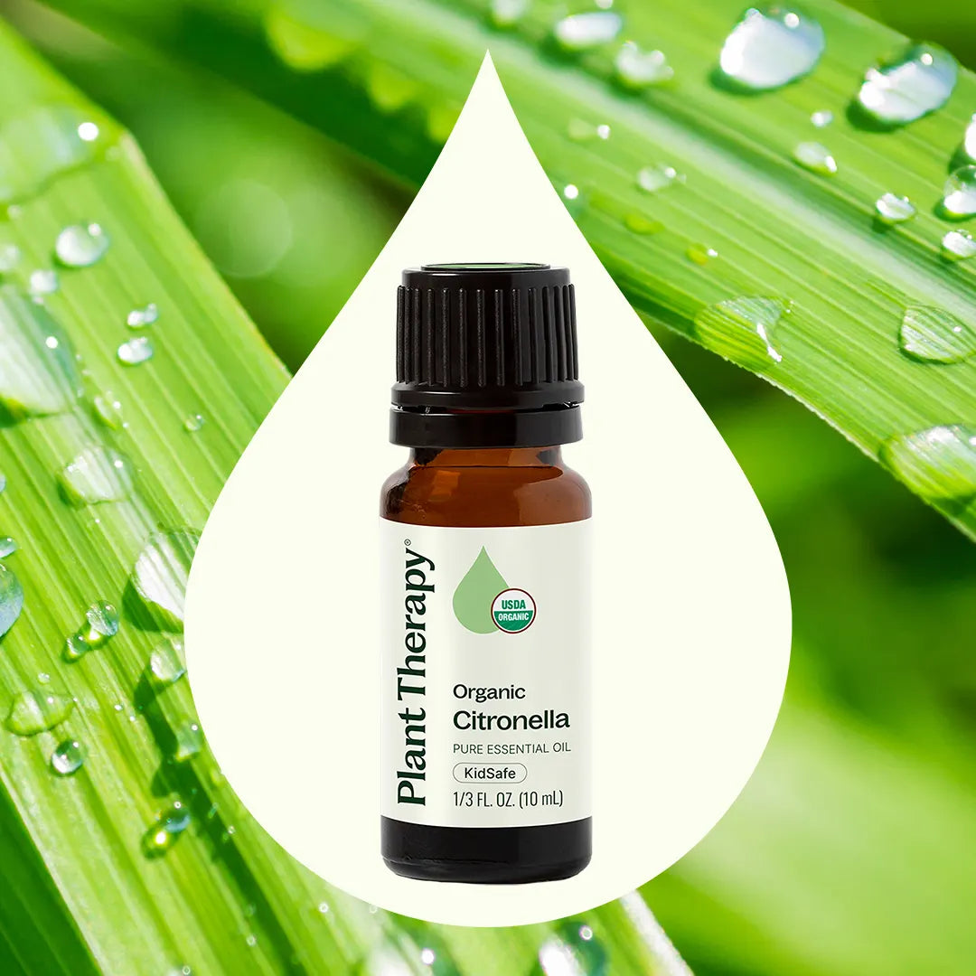 Citronella ORGANIC Essential Oil
